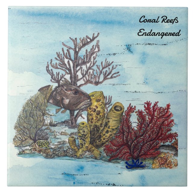 Spara Coral Reefs Handmålade Kakelplatta (Framsidan)