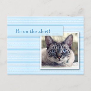 Spara datera med ensynad katt meddelande vykort
