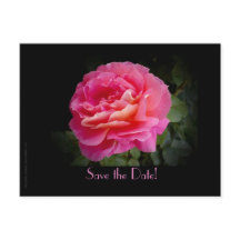 Spara datum 50-årsjubileum fest rosa ros