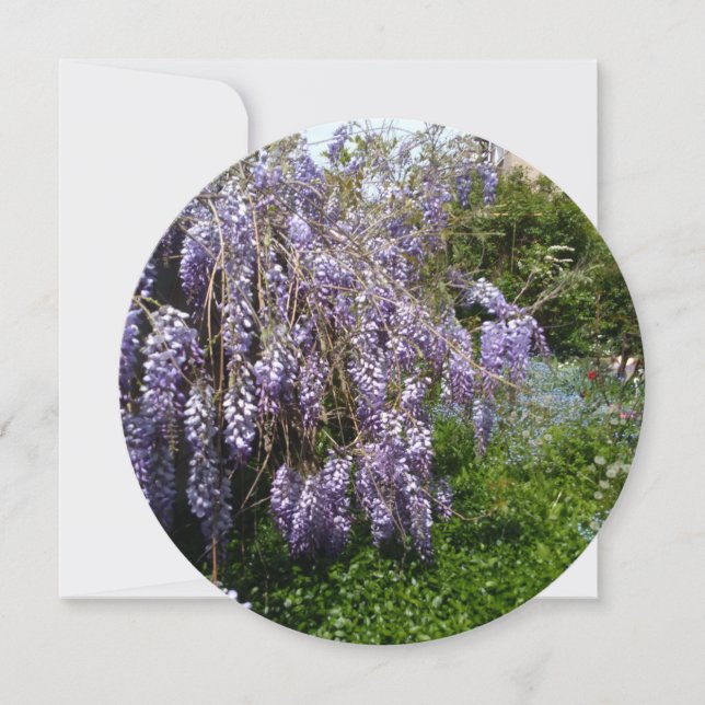 Spara datum  Bröllop wisteria violett grön Datumet (Framsida)