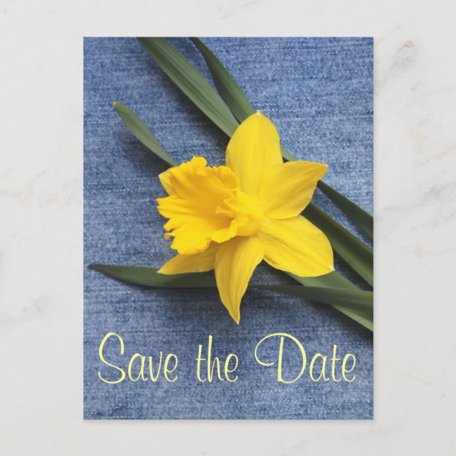 Spara datum Daffodil & Denim Postcard Meddelande Vykort (Framsida)