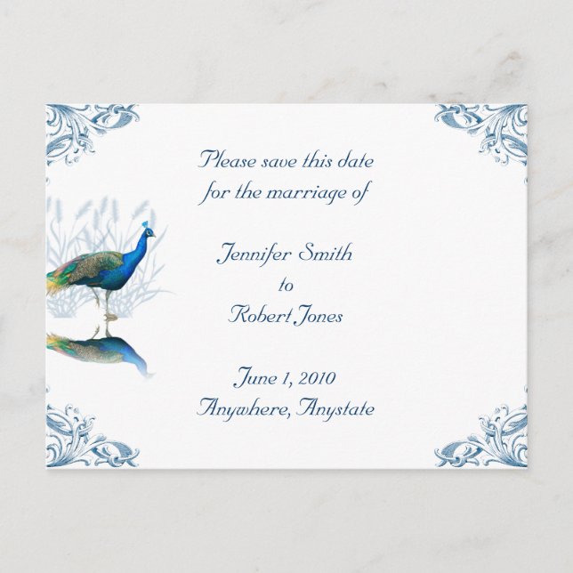Spara datum för Peacock Garden Meddelande Vykort (Framsida)