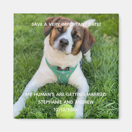 Spara datum Förlovningskort med hundfoto Magnet