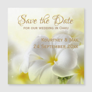 Spara datum Hawaii White Plumeria Magnetic Card