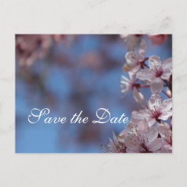 spara datum, körsbärsblomning meddelande vykort