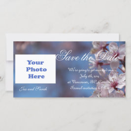 spara datum, körsbärsprogram, blommar datumet