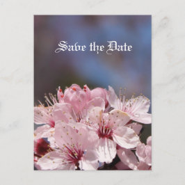 spara datum, körsbärsprogram, blommar meddelande vykort