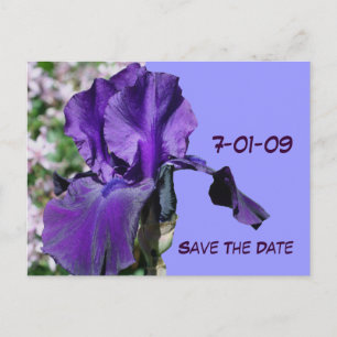 Spara datum Lila-Iris-fotopapport Meddelande Vykort