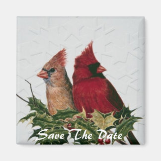 Spara datum magneter