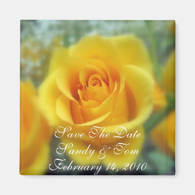 SPARA DATUM MAGNETER - Anpassa DIN MAGNET (Framsidan)