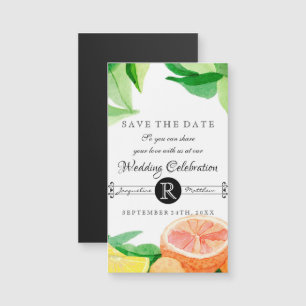 Spara datum magneter Citrus Fruit Lemon Orangar