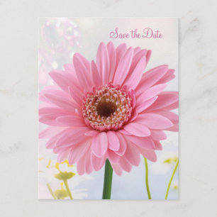 Spara datum meddelande - Rosa gerbera Inbjudningar