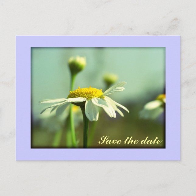 Spara datum meddelande vykort (Framsida)