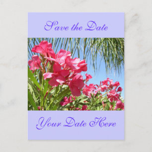 Spara datum Oleander postkort Meddelande Vykort