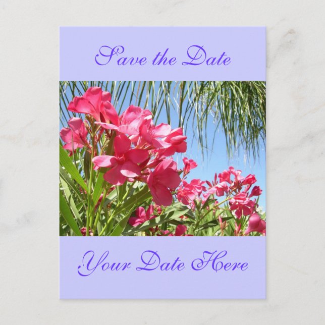 Spara datum Oleander postkort Meddelande Vykort (Framsida)