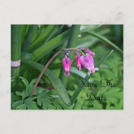 Spara datum postkort meddelande vykort