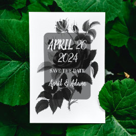 Spara datum svart och Vit ros botaniskt Datumet