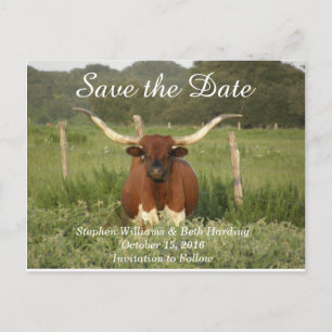 Spara datum Texas Longhorn Meddelande Vykort