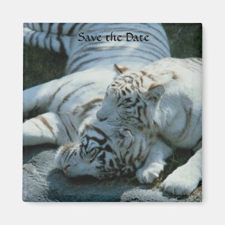 Spara datum - vita tonermagneter magnet