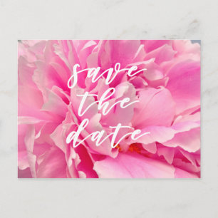 Spara datumet! Elegant Rosa Peonies Vykort