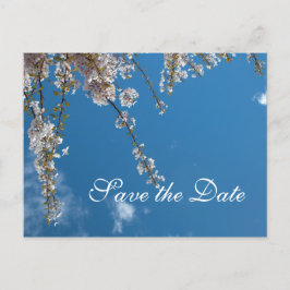 Spara datumet, körsbärsbäret grenar i blå himmel meddelande vykort