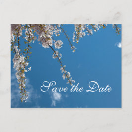 Spara datumet, körsbärsbäret grenar i blå himmel meddelande vykort