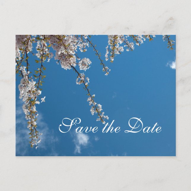 Spara datumet, körsbärsbäret grenar i blå himmel meddelande vykort (Framsida)