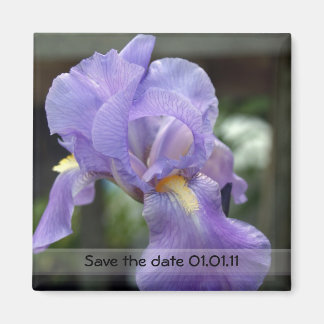 Spara datumet magnet