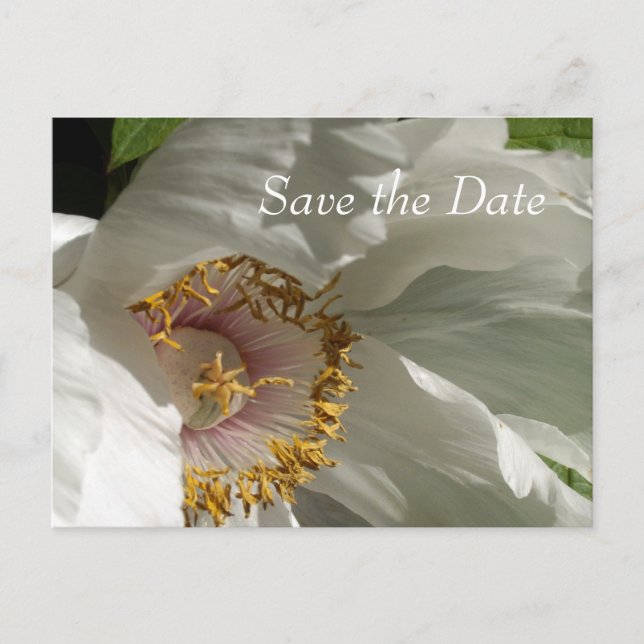 Spara datumet meddelande vykort (Framsida)