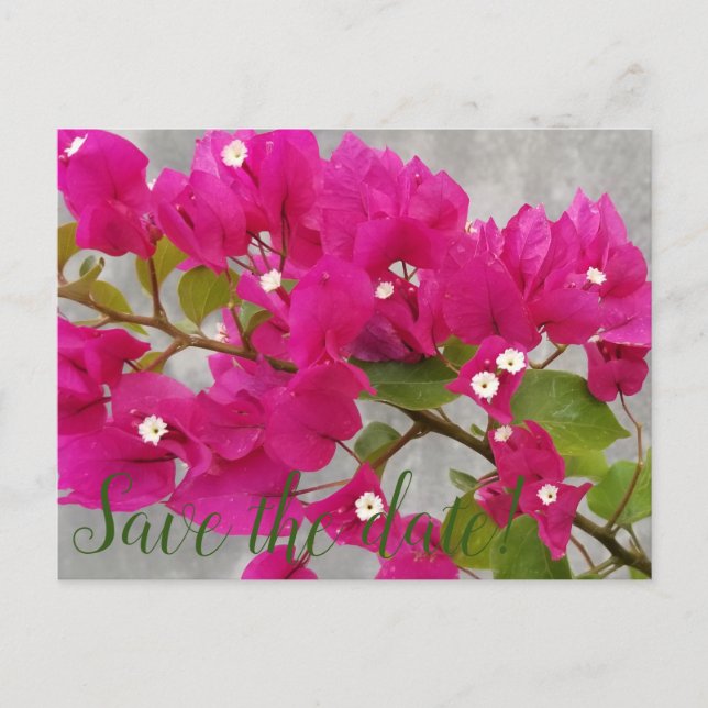 Spara datumet! vykort (Framsida)