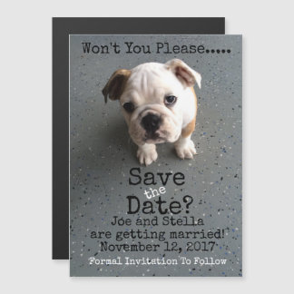 Spara datummagnetiskt magnetisk inbjudningskort