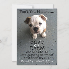 Spara datummagnetiskt magnetisk inbjudningskort