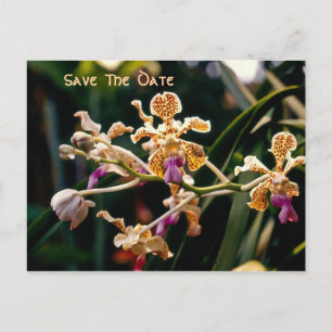 Spara datumvykortet för vild Orchid Meddelande Vykort