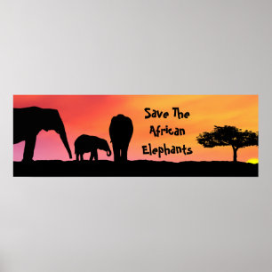 Spara De afrikanska elefanterna Poster