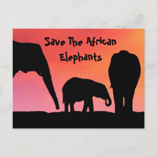 Spara De afrikanska elefanterna Vykort