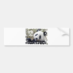 Spara den jätte- pandaen bildekal
