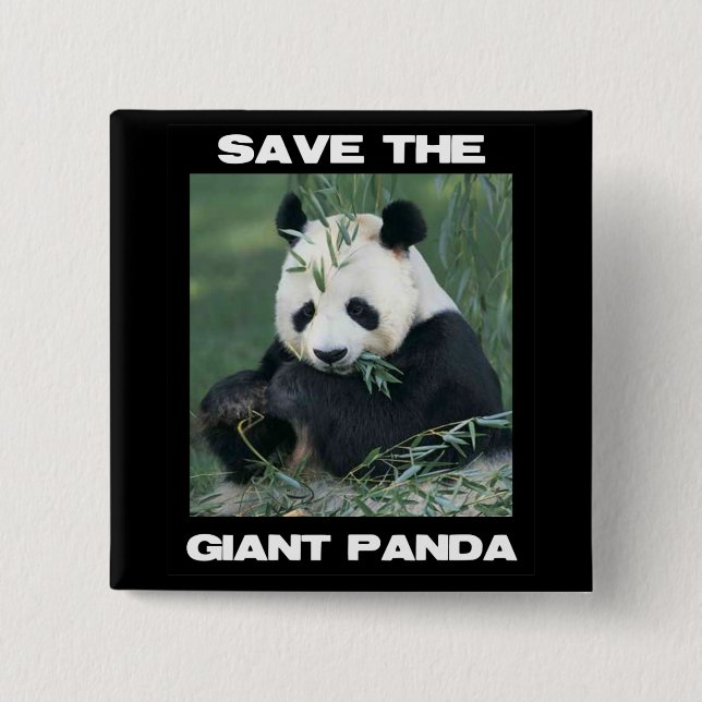 Spara den jätte- pandaen knapp (Framsida)