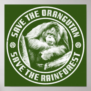 SPARA DEN ORANGANSKA SPARAN RAINFOREST. POSTER