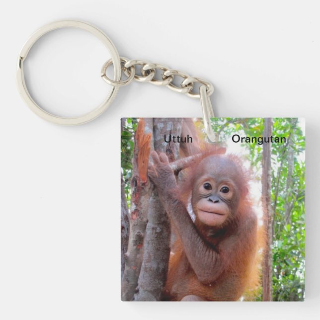 Spara den OrangutansbabyUttuh nyckelringen (Framsidan)