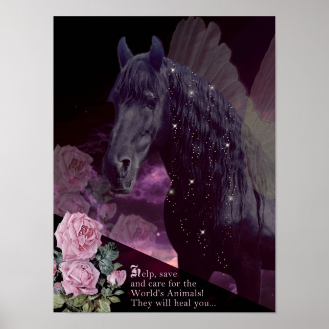 Spara Djuren - Poster (Framsidan)