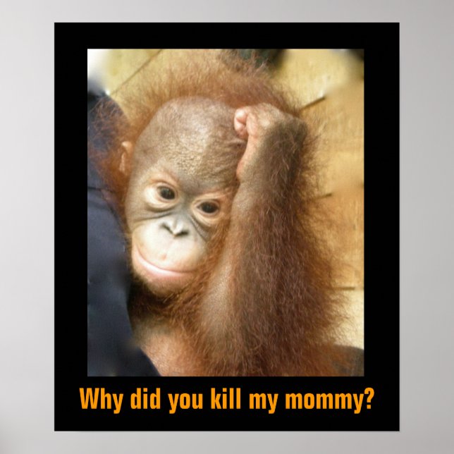 Spara Endangered Wildlife Orphan Orangutan Poster (Framsidan)