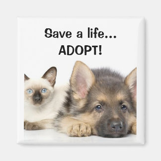 Spara ett liv... ADOPT! Magnet