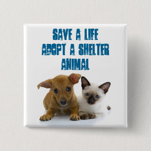 Spara ett liv adopterar ett skydddjur knapp