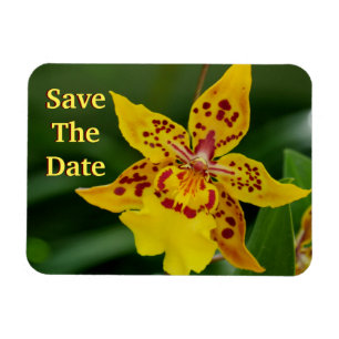 Spara Gulten Orchid Magnet