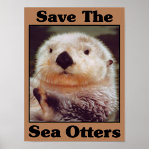 Spara havsuttrarna poster