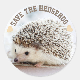 Spara Hedgehog Runt Klistermärke
