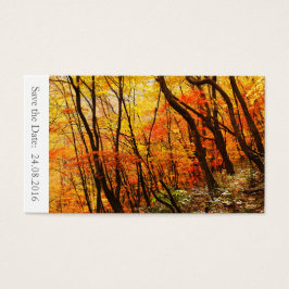 Spara hösten/hösten/bröllopsbröllopet 100 kort