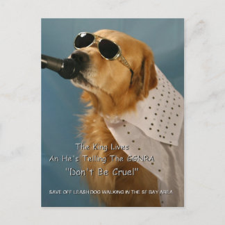 Spara Hund Walking Congressrie Pelosi utanför Leas Vykort