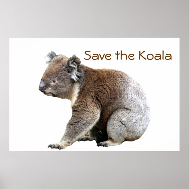Spara i Koala Poster (Framsidan)