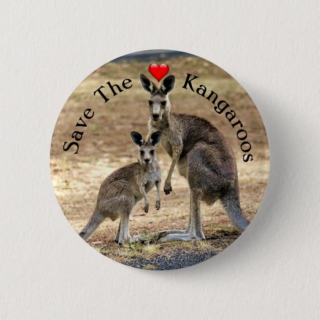 Spara känguruerna-knapp knapp (Framsida)